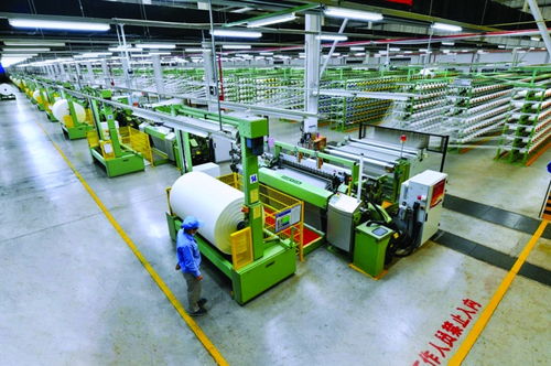 奮力打造世界一流的尼龍全產(chǎn)業(yè)鏈價(jià)值創(chuàng)造者 神馬股份高質(zhì)量發(fā)展紀(jì)實(shí)